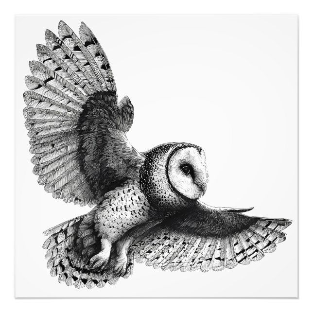 Foto Elegante Ilustracion de búho blanco negro (Frente)