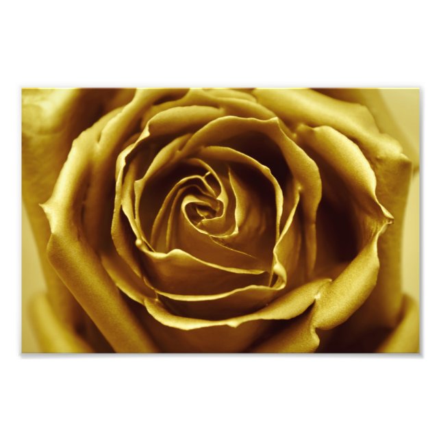 Foto Elegante Rosa de oro (Frente)