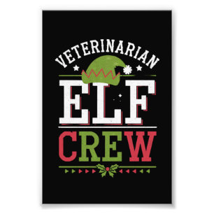 Foto Elfo de Navidad veterinario técnico veterinario 