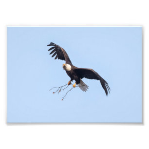 Foto Ella Tiene Un Palo
