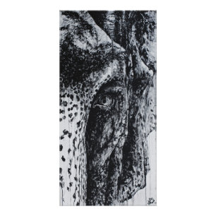 Foto Ellie Elephant Asia Willife Jungle Animal Art