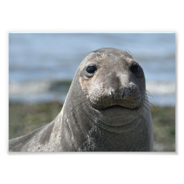 Foto Elsie Mae Anacortes