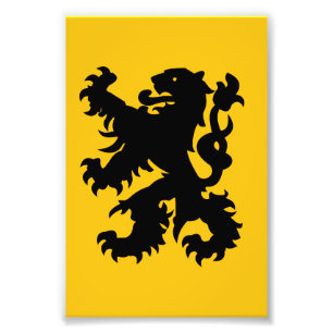Foto Emblema del León Flamenco