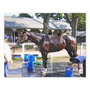 Foto Empire toma el ganador del "Saratoga Snacks"