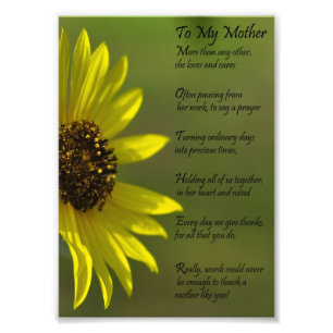 Foto Emprendimiento De Las Madres De Girasol Gracias Im