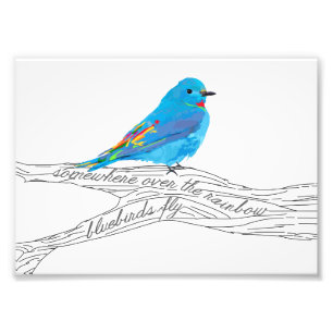 Foto En alguna parte sobre la impresión del Bluebird