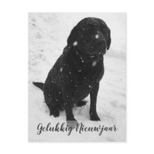 Foto en Blanco Feliz Año Nuevo Tarjeta de Navidad