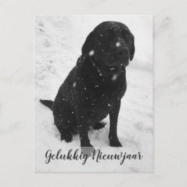 Foto en Blanco Feliz Año Nuevo Tarjeta de Navidad