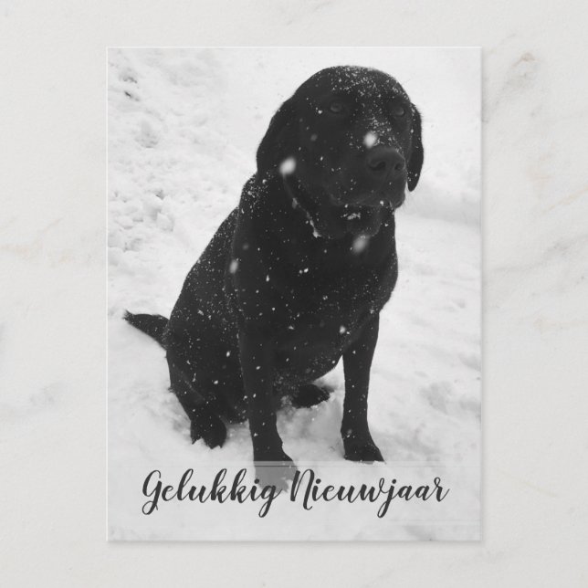 Foto en blanco Tarjeta de Navidad de Feliz Año Nue (Anverso)