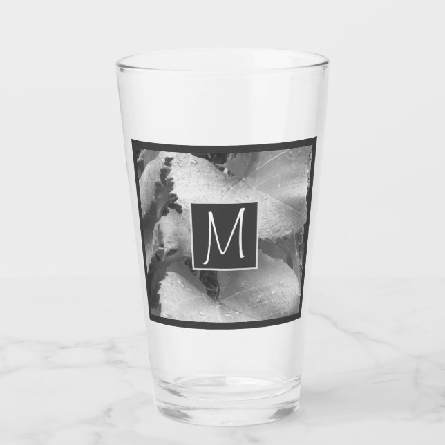 Foto en blanco y negro de hojas de uva gris inicia (Anverso)