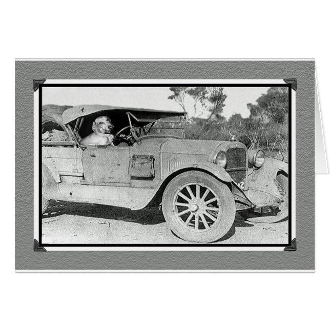 Foto en blanco y negro del auto viejo. Conductor d (Anverso (Horizontal))