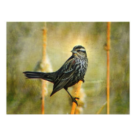 Foto En la impresión del Poster recto