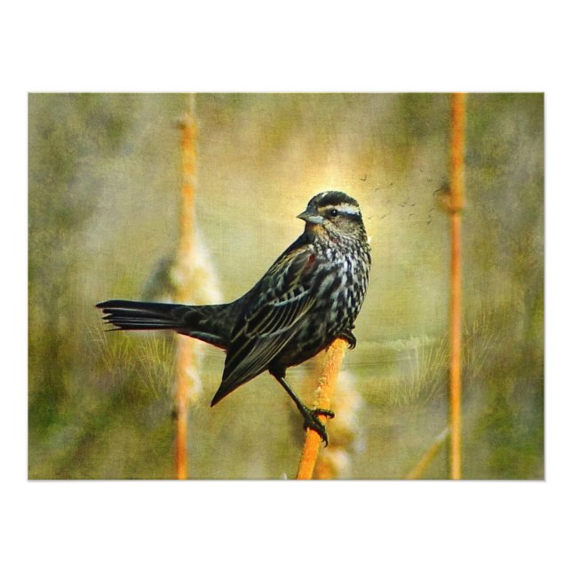 Foto En la impresión del Poster recto (Frente)