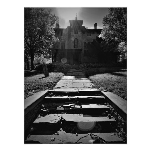 Foto "En un camino golpeado" (Frente)