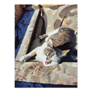 Foto Encantadora relajación de gatos a la luz del sol