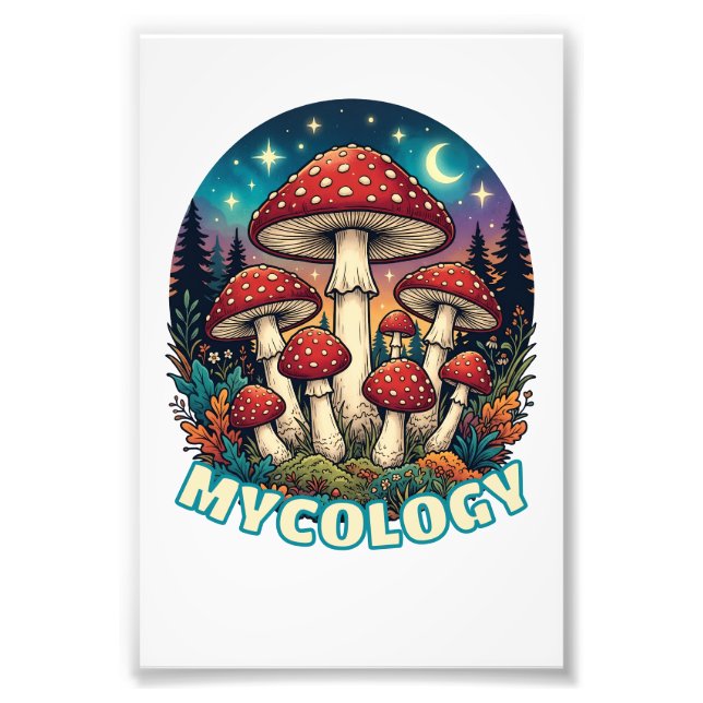 Foto Enchanted Forest Mushroom Art (Frente)