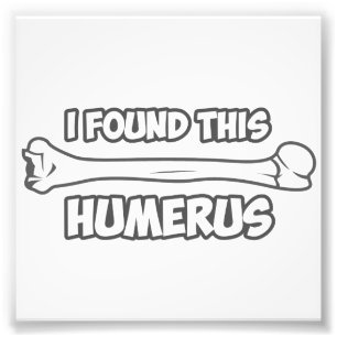 Foto Encontré Este Humerus