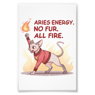 Foto Energía de Aries Gato Sphynx Sin Pelo Todo Fuego A