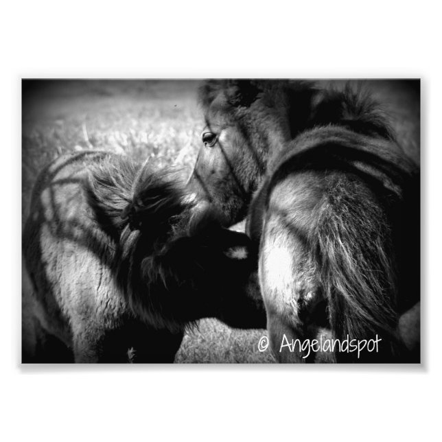 Foto Enfermería Filly (Frente)