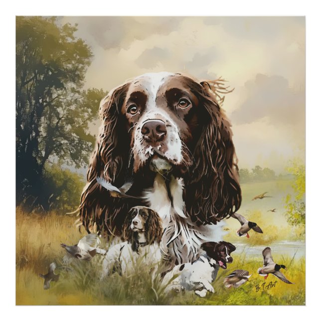 Foto English Springer Spaniel (Frente)