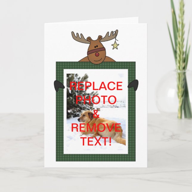 Foto enmarcada reno del navidad (Anverso)