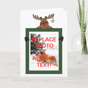 Foto enmarcada reno del navidad