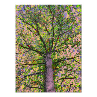 Foto Ensalada César 15