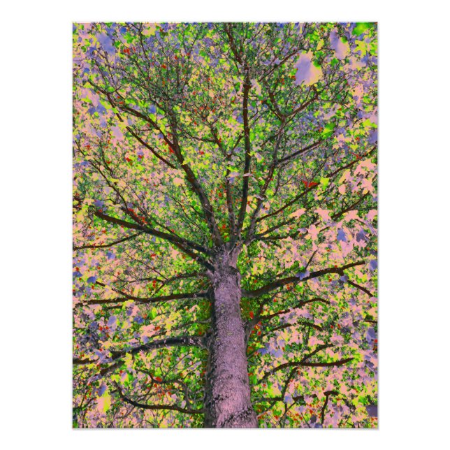 Foto Ensalada César 15 (Frente)