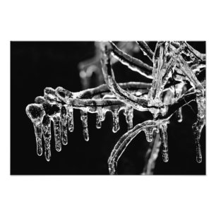 Foto entrar invierno helado
