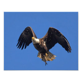 Foto Entrega de las mercaderías
