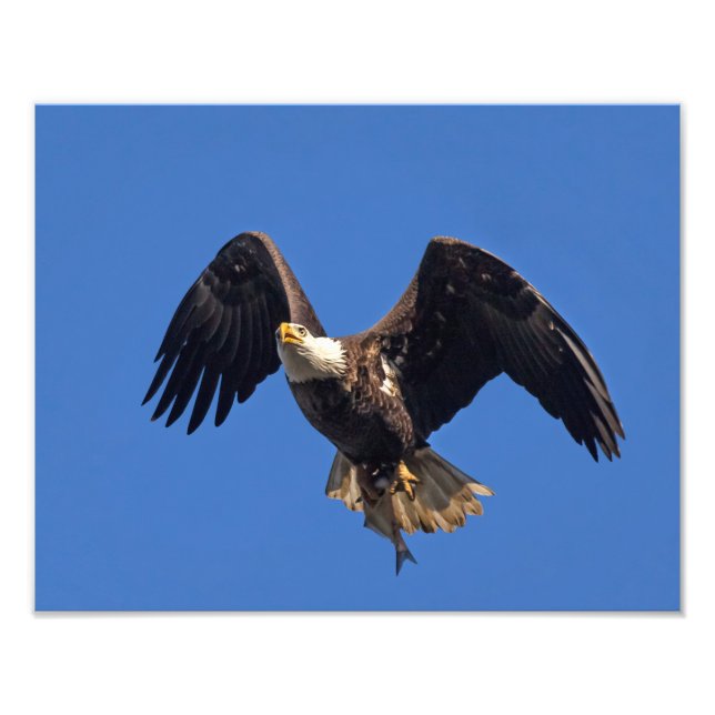 Foto Entrega de las mercaderías (Frente)