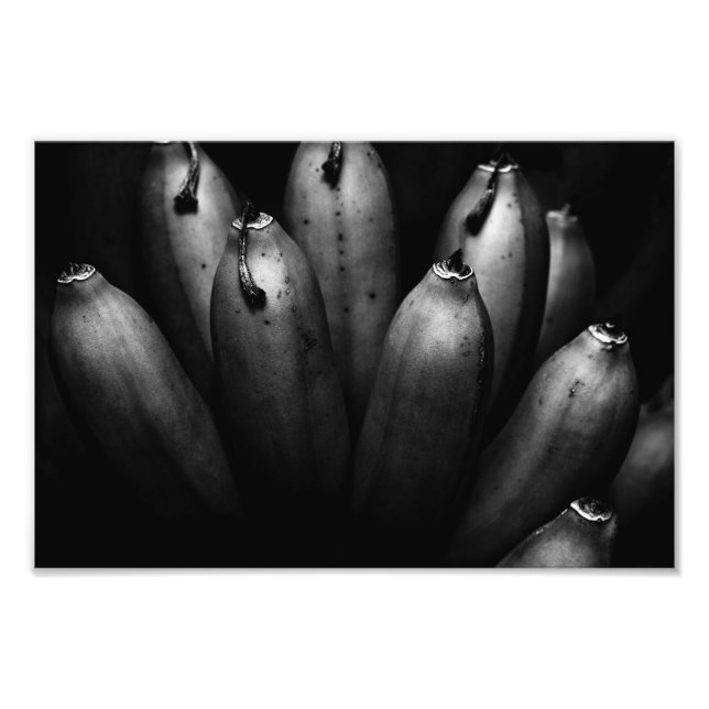 Foto entretenido grupo (Frente)