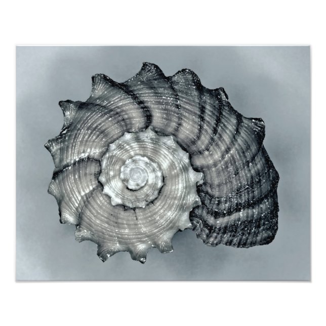 Foto Envuelto (Frente)