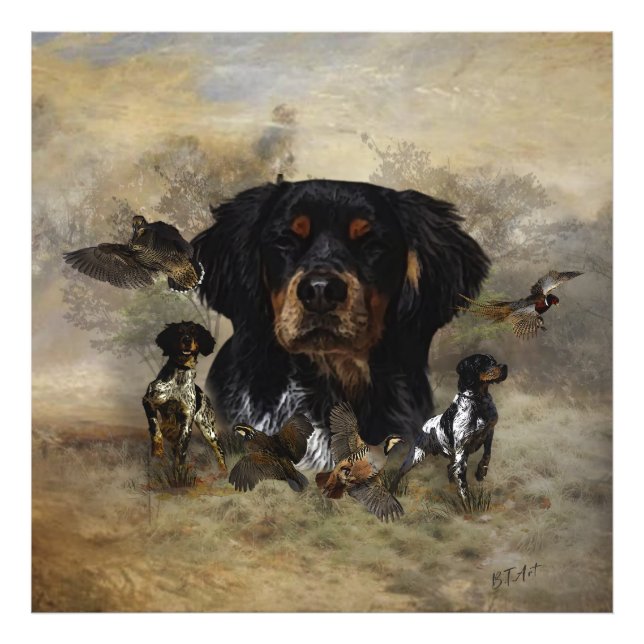 Foto Epagneul Breton, Bretaña Spaniel (Frente)