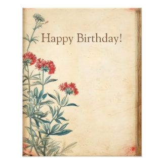 Foto Episcopía de ilustracion floral de Yarrow