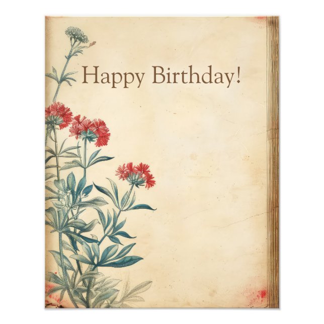 Foto Episcopía de ilustracion floral de Yarrow (Frente)