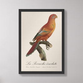 Foto Erecartado de Le Perruche