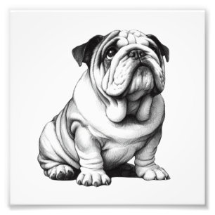 Foto Esbozo de bulldog blanco y negro adorable