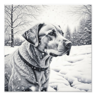 Foto Esbozo de IA para perro negro y blanco