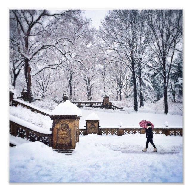 Foto Escaleras Cubiertas De Nieve En Central Park (Frente)