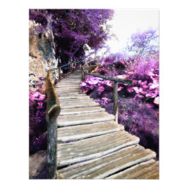 Foto escaleras de glicinia