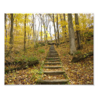 Escaleras de madera en un parque estatal
