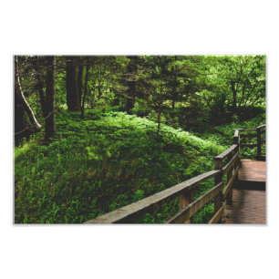 Foto Escaleras en el verde campo