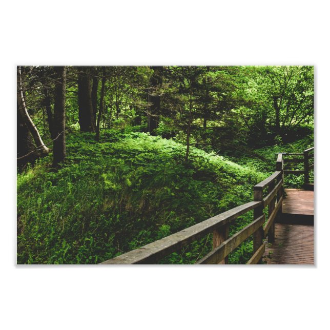 Foto Escaleras en el verde campo (Frente)