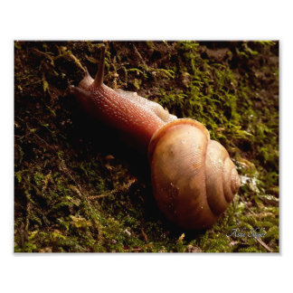 Foto Escarnio
