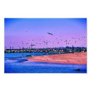 Foto Escena costera con aves voladoras y pescadores
