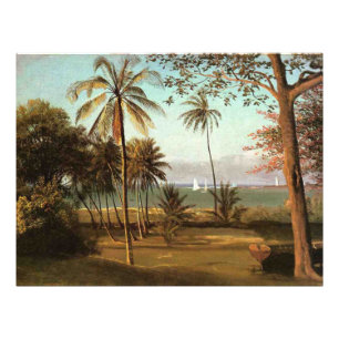 Foto Escena de Florida, pintura de arte fino,