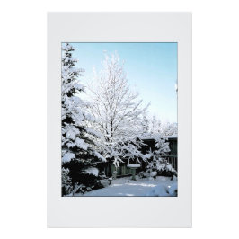 Foto escena de invierno