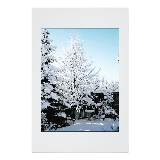 Foto escena de invierno (Frente)