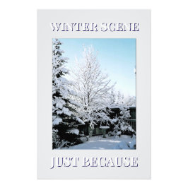 Foto escena de invierno